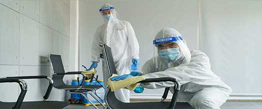 Personnel Désinfection professionnelle