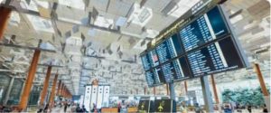 Société de dératisation d'avions et d'aéroports